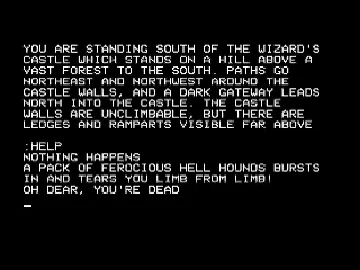 Castle of Riddles v1 (1982)(Acornsoft) screen shot game playing